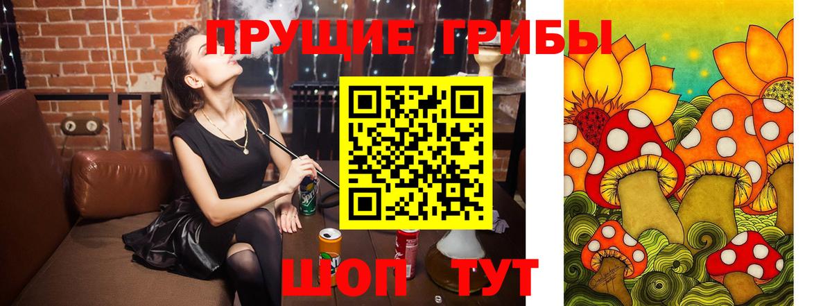 Нижневартовск  как найти   Вход с VPN  Галлюциногенные грибы Psilocybe  Галлюциногенные грибы ЛСД 